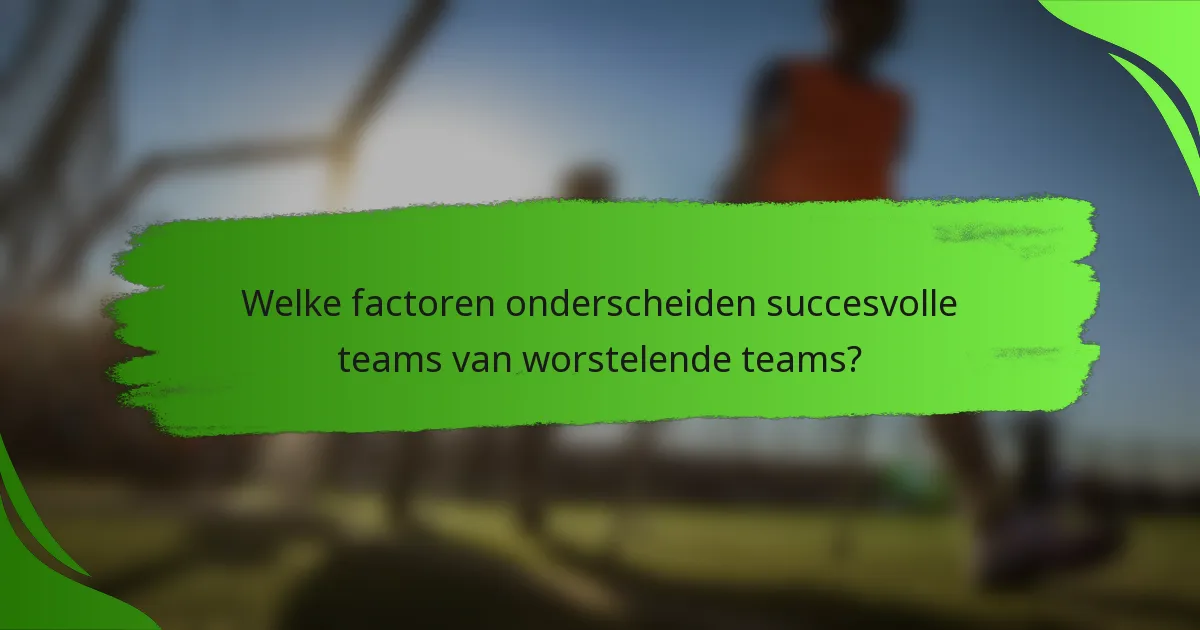 Welke factoren onderscheiden succesvolle teams van worstelende teams?